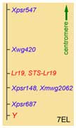 Map of Lr19