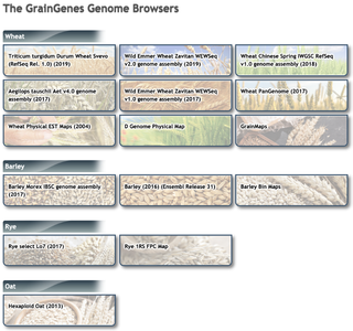 Genomes and Tracks