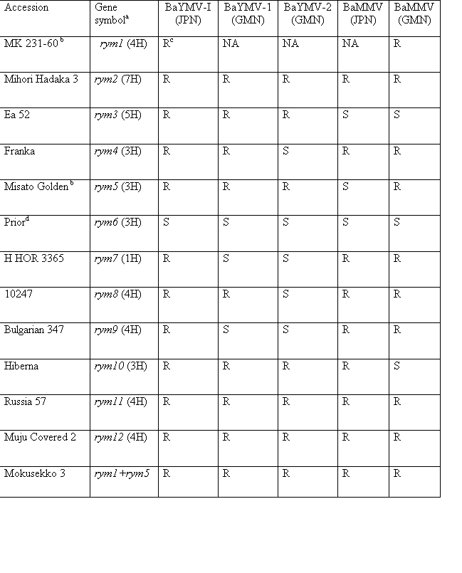 Text Box: Accession	Gene symbola	BaYMV-I(JPN)	BaYMV-1(GMN)	BaYMV-2(GMN)	BaMMV(JPN)	BaMMV(GMN)
MK 231-60 b	rym1 (4H)	Rc 	NA	NA	NA	R
Mihori Hadaka 3	rym2 (7H)	R	R	R	R	R
Ea 52	rym3 (5H)	R	R	R	S	S
Franka	rym4 (3H)	R	R	S	R	R
Misato Golden b 	rym5 (3H)	R	R	R	S	R
Priord	rym6 (3H)	S	S	S	S	S
H HOR 3365	rym7 (1H)	R	S	S	R	R
10247	rym8 (4H)	R	R	S	R	R
Bulgarian 347	rym9 (4H)	R	S	S	R	R
Hiberna	rym10 (3H)	R	R	R	R	S
Russia 57	rym11 (4H)	R	R	R	R	R
Muju Covered 2	rym12 (4H)	R	R	R	R	R
Mokusekko 3	rym1+rym5	R	R	R	R	R

