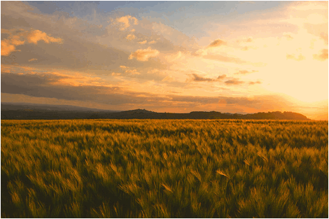 http://farm3.staticflickr.com/2265/3539674704_aca6e4d90c_z.jpg